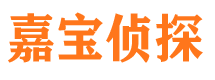 大通市私家侦探